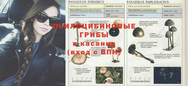 марихуана Бородино